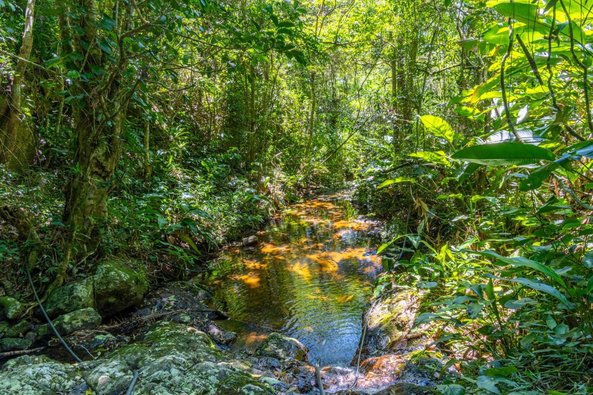 شقة Mansao Voar Florianópolis المظهر الخارجي الصورة