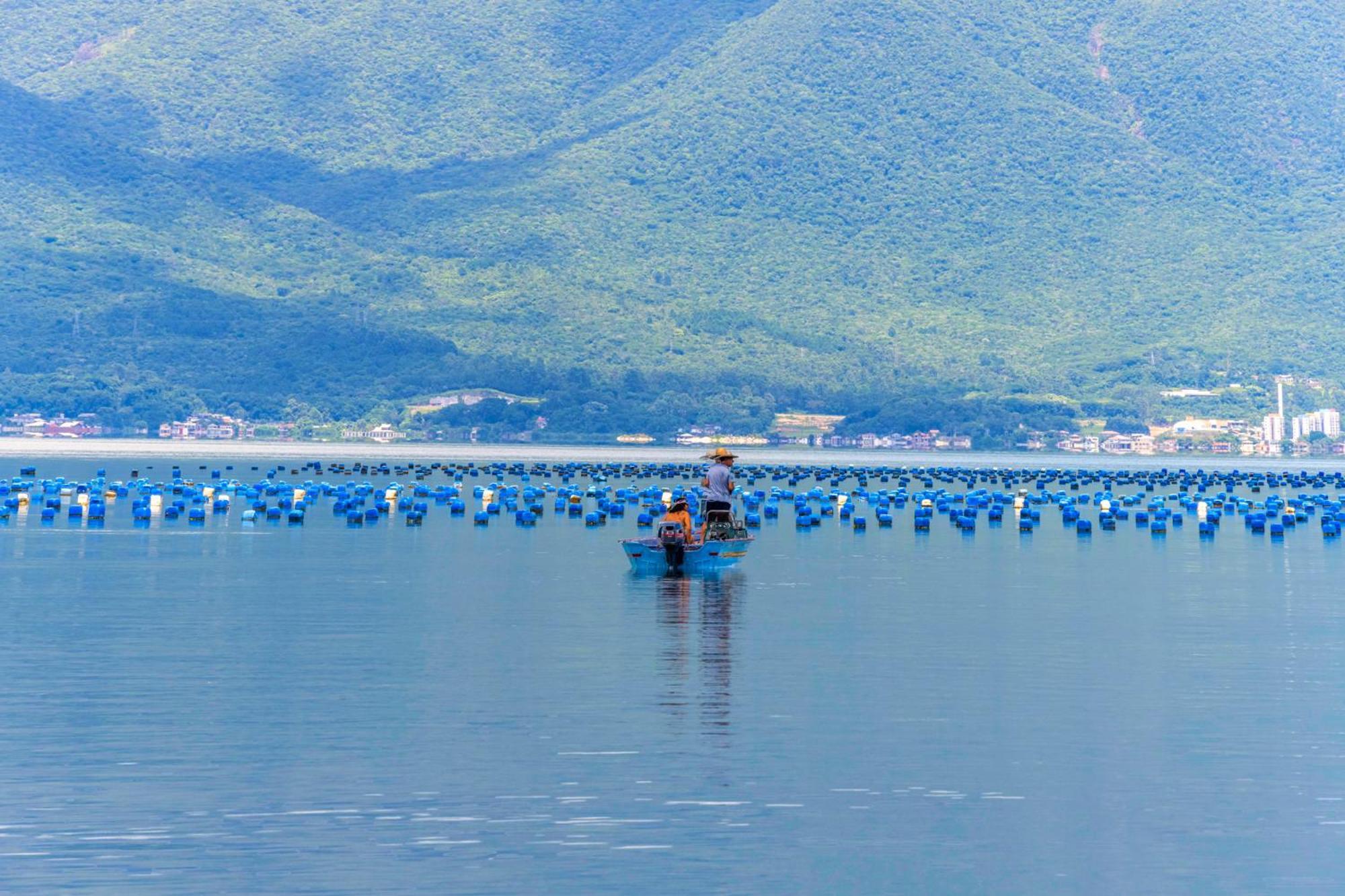 شقة Mansao Voar Florianópolis المظهر الخارجي الصورة
